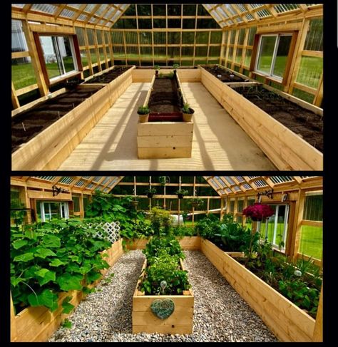 Green House Asthetics, Greenhouse Interiors Layout, Diy Greenhouse Plans, Outdoor Greenhouse, Garden Layout Vegetable, Small Patio Garden, Backyard Greenhouse, Backyard Vegetable Gardens, Home Vegetable Garden