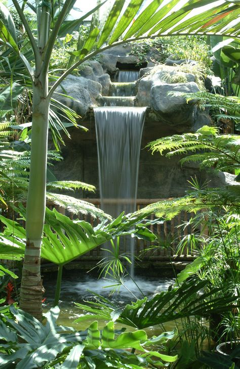 Be sure to check out the Cambridge Butterfly Conservatory… Cambridge Butterfly Conservatory, Butterfly Conservatory Aesthetic, Conservatory Aesthetic, Butterfly Conservatory, Cambridge Ontario, Cambridge, Ontario, Singapore, Things To Do