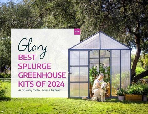 Glory 8 ft. x 12 ft. Greenhouse Kit | Canopia by Palram Enclosed Gazebo, Garage Canopies, Carport With Storage, Bbq Gazebo, Gazebo Accessories, Louver Windows, Polycarbonate Greenhouse, Pool Enclosures, Screen House