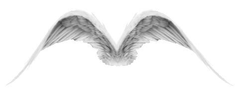 Angel Wings Gif, Rose Sticker, Random Gif, Pixel Animation, Animated Banners, Icon Gif, Banner Gif, Glitter Graphics, Discord Banner