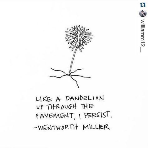 #dandelions @wentworthmilleractorwriter Dandelion Quotes, Wrist Tattoos Words, Happy Birthday My Love, Well Said Quotes, Journal Quotes, Small Words, Flower Quotes, Word Tattoos, Make A Wish