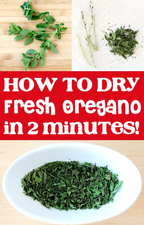 Drying Herbs in the Microwave - How to Dry Oregano - This simple trick is so quick, and the herbs retain their gorgeous, vibrant color!  Plus... it works for other herbs, too!  Go check out the easy step-by-step instructions, and give it a try this week! Using Fresh Oregano, Preserving Fresh Oregano, How To Freeze Fresh Oregano, Dry Oregano How To, What To Do With Fresh Oregano, Drying Herbs In Microwave, Drying Oregano Fresh Herbs, How To Dry Oregano Leaves, Freezing Oregano