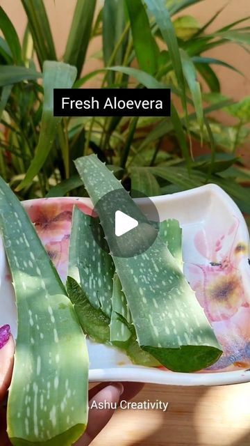 Ashu Creativity on Instagram: "Aloevera Hair Growth Mask| Get Silky & Smooth Hair💯

#hairmask #hairpack #hairstyle #haircare #hairgrowth
#hairoil #longhair #shinyhair #beautifulhair #reels #instagramreels #trending #trendingreels #instagood #beautifulyou #explore #letsbenatural" Aloevera Haircare Mask, Aloevera Haircare, Hair Mask For Smooth And Silky Hair, Get Silky Smooth Hair, Hair Growth At Home, Coffee Shampoo, Longer Hair Faster, Mask Hair, Hair Mask For Growth