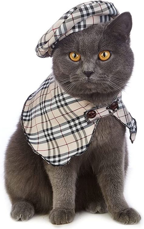 Detective Halloween Costume, Cats Outfits, Cat Detective, Detective Costume, Halloween Costume Cute, Scooby Doo Dog, Dog Costumes Funny, Pet Costumes Cat, Pig Costumes