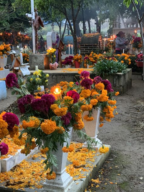 Mexico Culture Aesthetic, Rich Mexican Aesthetic, Chicana Aesthetic, Dia De Los Muertos Decorations Ideas, Mexican Culture Art, Mexican Flowers, Living In Mexico, Mexican Heritage, Mexico Culture