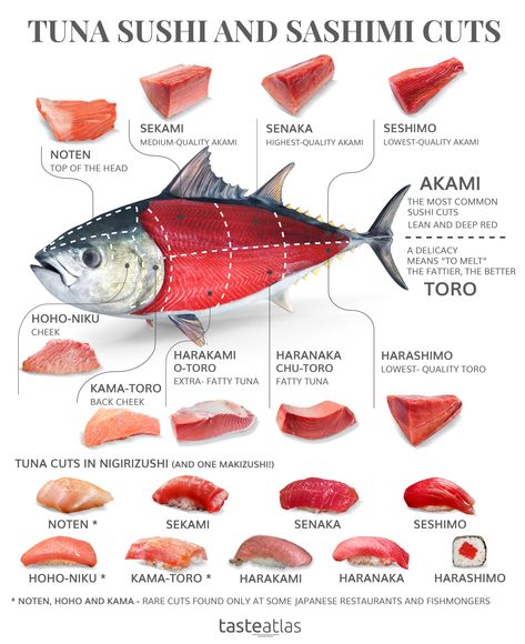 Not all bites of tuna sashimi and sushi are created equally! Learn the differences between tuna cuts that appear on sushi menus, from affordable Akami, to expensive O-toro. Resep Sushi, Sushi And Sashimi, Tuna Sashimi, Tuna Sushi, Sushi Menu, Food Infographic, Sushi Chef, Sushi Recipes, Food Info