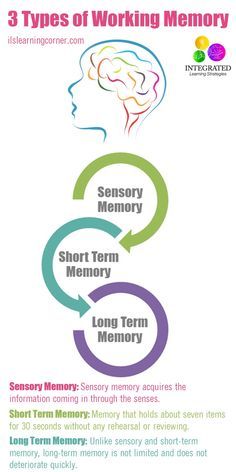 Types of Memory: Working Memory Tied to Your Child's Intelligence - Integrated Learning Strategies Memory Psychology, Glenn Doman, Types Of Memory, Integrated Learning, Executive Functioning Skills, Executive Function, Learning Tips, Short Term Memory, Working Memory