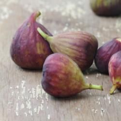 This item grows well in zones 6 - 9. View this product for details about its characteristics and for care and maintenance instructions. Fig Varieties, Fig Trees, Green Fig, Purple Fruit, Yellow Fruit, Fresh Figs, Fig Tree, Potting Soil, Small Trees