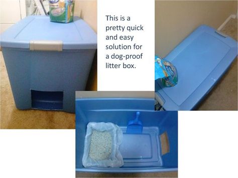 easy and quick solution for dog proof litter box, cleaning tips, pets animals, repurposing upcycling Dog Proof Litter Box Ideas, Dog Proof Litter Box, Diy Litter Box, Dog Litter Box, Pet Recipes, Large Storage Bins, Cat Houses, Cat Cleaning, Cat Happy