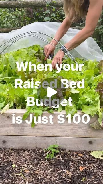 26K views · 1.4K likes | Nicole Johnsey Burke on Instagram: "Comment BUDGET and I’ll send you a link to download my $100 dollar raised bed e-book

Raised beds make gardening so much easier

You can plant earlier
You start with the best soil
You can tend the garden easier
You can plant more
and they look better too!

I’m no carpenter, but anyone can build this super simple raised bed for around $100. 
To learn how and download my e-book with step-by-step instructions comment BUDGET.

And leave a comment if you want a part 2 with more detailed instructions!" Diy Exterior, Garden Veggies, 100 Dollar, Raised Bed, Garden Buildings, Building Plans, Raised Beds, How To Make Bed, Super Simple