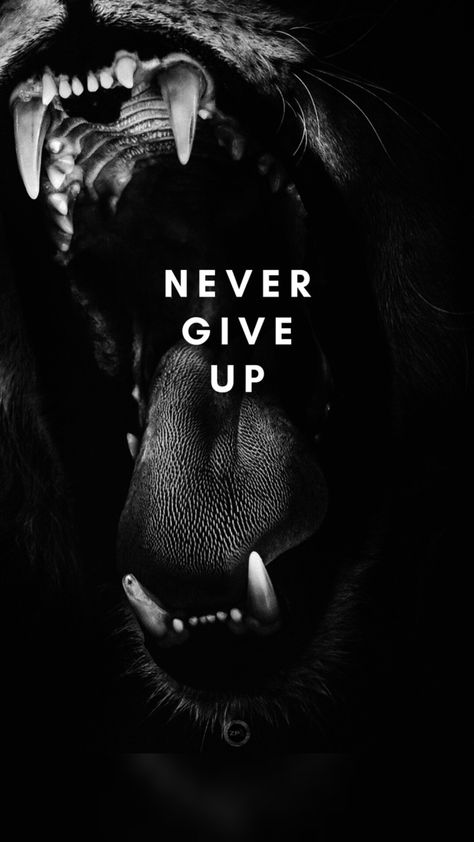 Alpha Man Style, Lion Astethic, Lion Iphone Wallpaper, Dont Expect Quotes, Lion Mindset, Relaxing Wallpapers, Lion Motivation, Warrior Mindset, Expectation Quotes