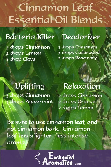 Here are four essential oil blends that can be created using cinnamon leaf as the primary essential oil. Cinnamon Essential Oil Blends, Types Of Essential Oils, Candle Recipes, Thyme Flower, Rosemary And Thyme, Bergamot Orange, Cinnamon Essential Oil, Frankincense Myrrh, Food Candles