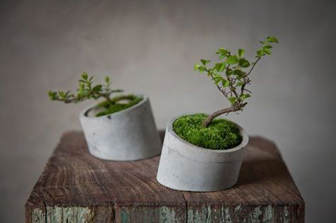 Concrete planters by Chinese Shenme Design aka designer Sun Xin. Photos from here, here and here. Unique Flower Pots, Decoration Beton, Diy Concrete Planters, Cement Diy, Concrete Diy Projects, Cement Art, Concrete Ideas, Concrete Furniture, Cement Planters