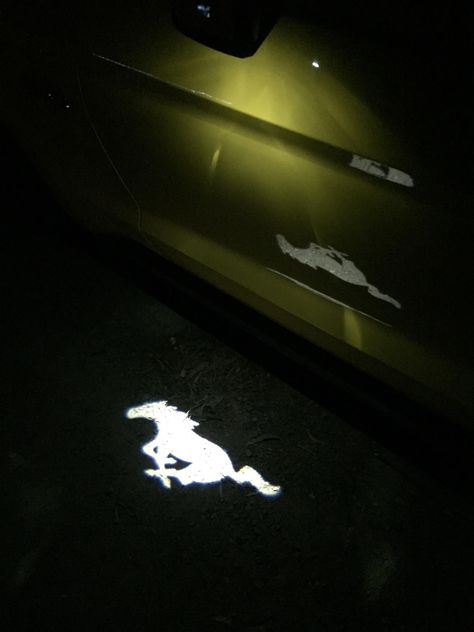 My bro's new Mustang's side mirror projects a mustang image onto the ground when unlocked Mirror Projects, Mustang Emblem, New Edge Mustang, Sabrina Claudio, New Mustang, Dentistry Student, Mustang Gt500, Ford Mustang Car, Getaway Car