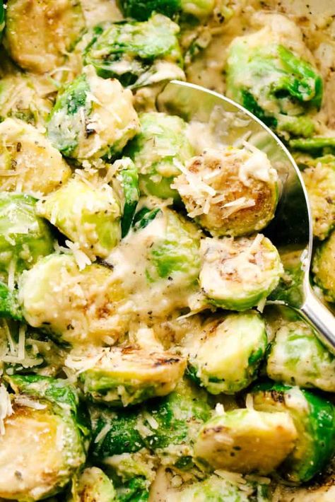 Creamy Parmesan Garlic Brussels Sprouts are sautéed in a rich, thick and creamy parmesan sauce with minced garlic cooked until soft and tender. These make the perfect side dish! Creamy Garlic Parmesan Brussel Sprouts, Creamy Parmesan Brussel Sprouts, Creamy Parmesan Garlic Brussel Sprouts, Soft Brussel Sprout Recipes, What To Make With Brussel Sprouts, Sauce For Brussel Sprouts, Brussel Sprouts Casserole, Creamy Brussel Sprouts, Pan Fried Brussel Sprouts