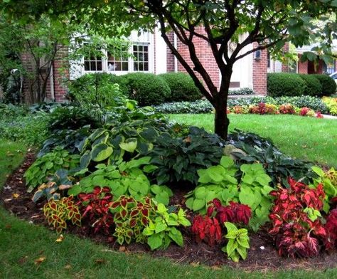 Shade Gardening Class (Garland) - North Texas Municipal Water District Front Yard Flowers, Shade Garden Design, Landscaping Around Trees, Small Front Yard Landscaping, Front Yard Design, Beautiful Yards, Front Yard Garden, Landscaping Tips, Diy Landscaping