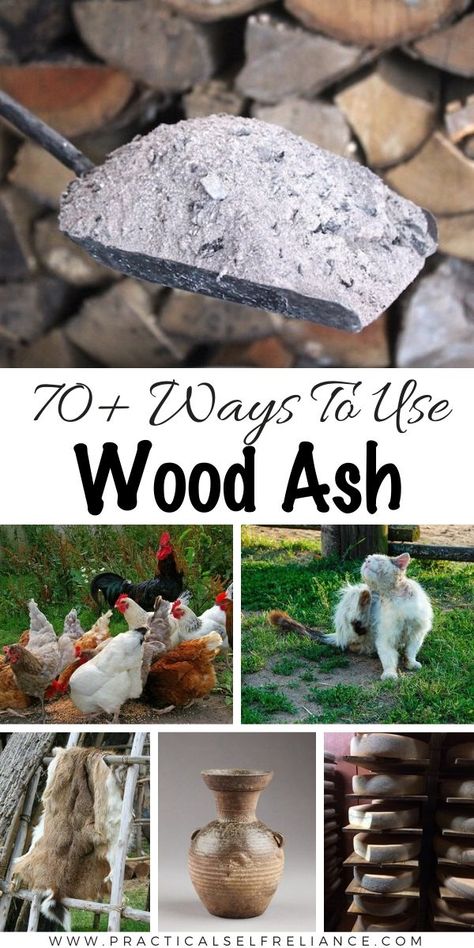 70+ Wood Ash Uses for Garden, Chicken, Compost, Soap, & More - There are so many ways to use wood ashes in the garden, DIY chicken dust bath ideas, how to make wood ash soap, clay, cement, and adding wood ash to compost. I've discovered over 70 excellent uses for wood stove ash that you're never going to believe until you try them yourself. If you're looking for DIY zero waste ideas for your off grid cabin or homestead, interested in bushcraft or primitive survival, this is for you. Dust Bath, Homesteading Diy, Wood Ash, Homesteading Skills, Homestead Survival, Emergency Prepping, Woodworking Plans Free, Go Around, Survival Prepping