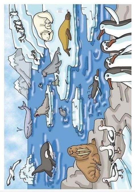 Polar Animals Preschool, Arctic Animals Preschool, Winter Animal Crafts, Diorama Kids, Antarctic Animals, Urs Polar, Winter Art Lesson, Pole Nord, Winter Art Projects