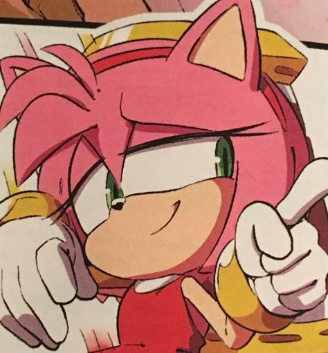 Hedgehog Videos, Amy Rose Pfp, Sonic X Amy, Rose Pfp, Shadow And Amy, Sonny Boy, Sonic X, Amy The Hedgehog, Blue Hedgehog