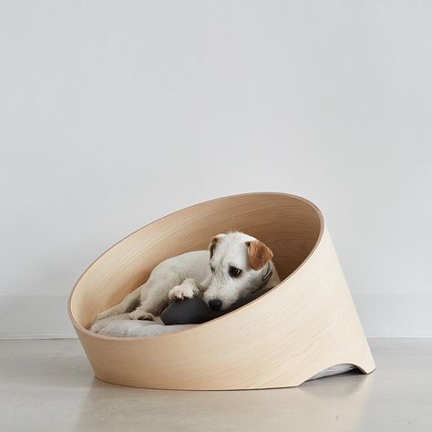 Covo dog bed Miacara - minimalist dog bed - stylish dog bed Dog Bedding, Mattress Dog Bed, Round Dog Bed, Dogs Accessories, Donut Dog Bed, Dog Sofa, Dog Furniture, Modern Cat, Creature Comforts