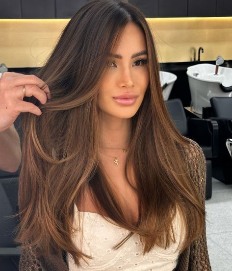 Balayage Hair Caramel, Brown Hair Shades, Black Hair Balayage, Wine Hair, Brown Hair Looks, Hair Inspiration Long, Brunette Hair With Highlights, Brunette Balayage Hair, Brown Blonde Hair