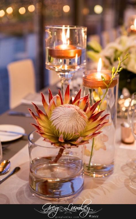 Wedding Venues South Africa, Protea Centerpiece, Pretty Wedding Centerpieces, Protea Wedding, Stud Farm, Bush Wedding, Lighted Centerpieces, Somerset West, Simple Wedding Centerpieces