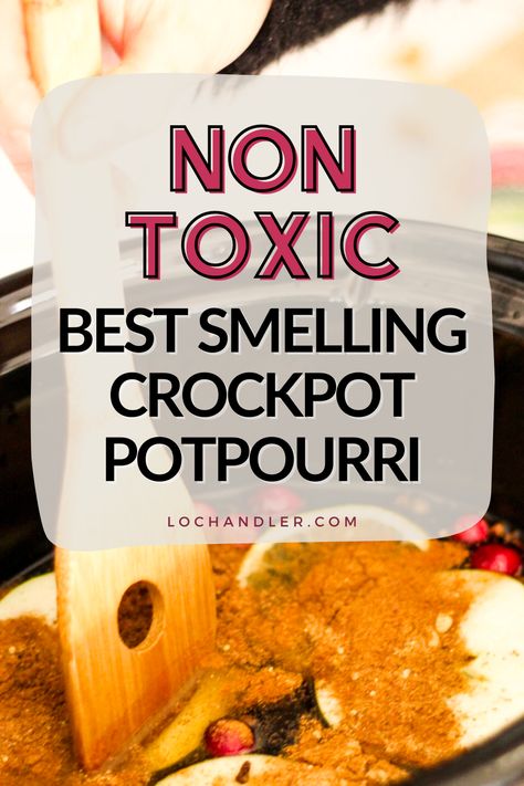 Crockpot Fragrance House Smells, Crockpot Scents House Smells, Crockpot Potpourri Fall, Crockpot Simmer Pot Recipes, Crockpot Aromatherapy, Mini Crockpot Simmer Pot, Fall Potpourri Stovetop, Smell Good House, Crockpot Potpourri