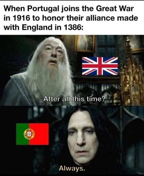 History Humour, Historical Humor, British Memes, History Jokes, Country Memes, History Nerd, History Humor, Historical Facts, Star Wars Memes