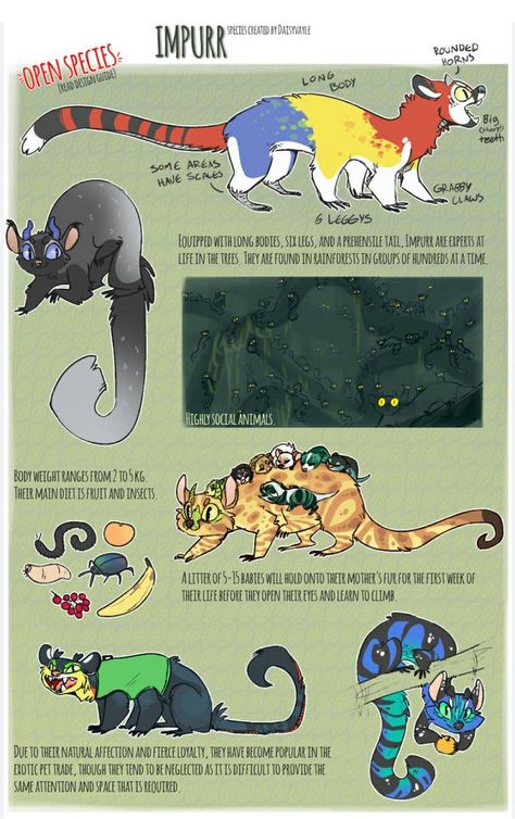 Cool Fursona Species, Open Species Reference Sheet Humanoid, Species Design Sheet, Closed Species Reference Sheet, Open Species Reference Sheet, Mythical Species, Fursona Species, Fursona Reference Sheet, Chocolate Alcohol