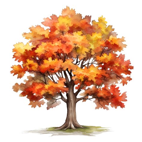 Fall Autumn Tree Watercolor Clipart AI Generated Fall Clip Art Free, Fall Clip Art, Fall Drawings, Tree Watercolor, Watercolor Clip Art, Tree Clipart, Autumn Tree, Tree Illustration, Watercolor Trees