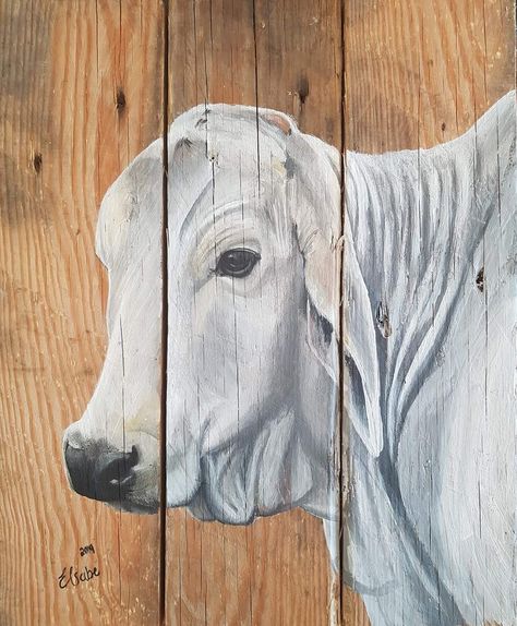 Cattle Painting, Brahman Cattle, Painting On Pallet Wood, Wood Paintings, Pallet Painting, Pallet Wood, Wood Pallets, Painting On Wood, Paintings