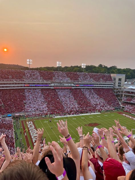 #arkansas #sunset #football #uark #college #sports Fayetteville Arkansas Aesthetic, Us College Aesthetic, College Sports Aesthetic, University Of Arkansas Aesthetic, Ou Aesthetic, Pregame Aesthetic, Arkansas Aesthetic, Ou College, College Football Aesthetic