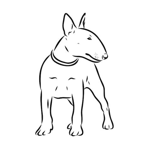 Bull Terrier Illustration, Groomer Tattoo, Bull Terrier Drawing, Dog Groomer Tattoo, Bull Terrier Tattoo, Bull Terrier Funny, Face Black And White, Bull Terrier Art, Black And White Vector