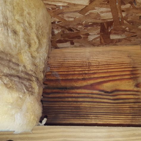 Why insulating your rim joists (the right way) is important | ASPEC Residential Services, LLC Insulating A Basement, Insulating Rim Joists, Wall Insulation Diy, Cheap Insulation, Basement Insulation, Diy Insulation, Basement Refinishing, Foam Insulation Board, Garage Insulation