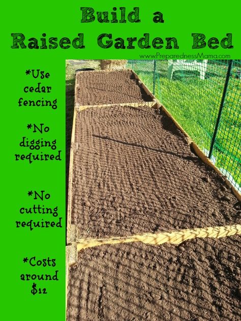 Build a raised garden bed for around $12. Detailed Instructions | PreparednessMama Build A Raised Garden Bed, Cedar Fencing, Raised Garden Beds Diy Vegetables, Building Raised Beds, Beds Diy, Building Raised Garden Beds, Cheap Tires, Vegetable Garden Raised Beds, Building A Raised Garden