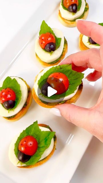 Genevieve LaMonaca on Instagram: "Ladybug Caprese 🐞 Follow @chefgenevieve for more fun summer recipes. Comment ‘ladybug’ and I’ll send the recipe straight to your DM #summerrecipes #ladybugcaprese #ladybugbites #summerappetizer" Caprese Screwers, Fun Summer Recipes, Ladybug Caprese, Ladybug Appetizers, Watermelon Hors D'oeuvres, Lady Bug Caprese Appetizers, Caprese Hors D’oeuvres, Happy Hour Hors D’oeuvres, Bug Bites