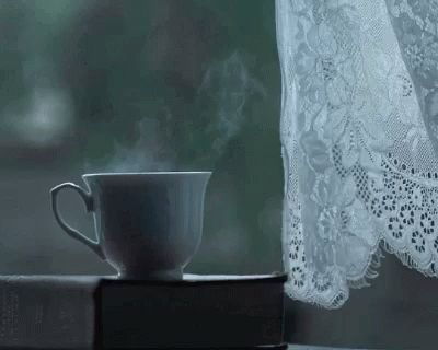 Tea Relax GIF - Tea Relax Relaxing - Discover & Share GIFs Dark Academia Coffee, Green Dark Academia, Tea Gif, Cinemagraph Gif, Hand Gif, Stim Board, Relaxing Gif, Gif Pictures, Aesthetic Gif