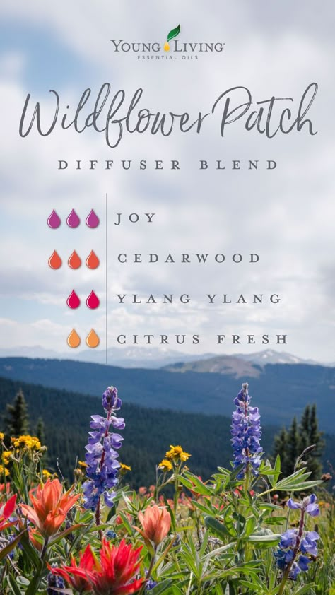 Young Living Diffuser Recipes, Wildflower Patch, Young Living Essential Oil Diffuser, Spring Diffuser Blends, Diffuser Blends Young Living, Young Living Oils Recipes, Living Oils Recipes, Young Living Diffuser, Essential Oil Combinations