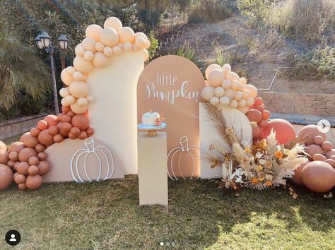 Pumpkin Party Backdrop, September Baby Showers, Pumpkin Theme Baby Shower, Lil Pumpkin Baby Shower, November Baby Shower, Fall Baby Shower Themes, Gender Reveal Baby Shower Themes, October Baby Showers, November Baby