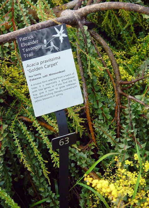 Eden By The Bay: Botanical Gardens: University of California, Santa Cruz Arboretum Farm Signage, Garden Signage, Uc Santa Cruz, Interpretive Signage, Park Signage, Wayfinding Signage Design, Plant Signs, Identify Plant, City Decor