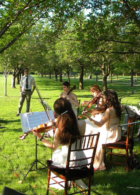 string quartet for our outdoor wedding :) Wedding String Quartet, Wedding Ceremony Exit Songs, Wedding Quartet, String Quartet Wedding, Wedding Exit Songs, Head Table Wedding Backdrop, Wedding Table Garland, Green Wedding Decorations, Wedding Ceremony Music