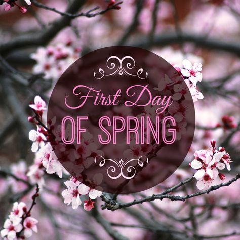 First Day Of Spring spring spring quotes happy spring hello spring hello spring quotes Springtime Quotes, 1st Day Of Spring, Spring Worksheet, Spring Quotes, Spring Pictures, Spring Equinox, First Day Of Spring, Welcome Spring, Happy Spring