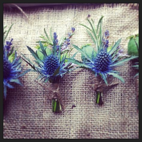 Today's bouts Lavender Buttonholes, Thistle Buttonhole, Lavender Inspiration, Thistle Boutonniere, September Flower, Pink Astilbe, Purple Statice, Thistle Wedding, Rose Centerpiece