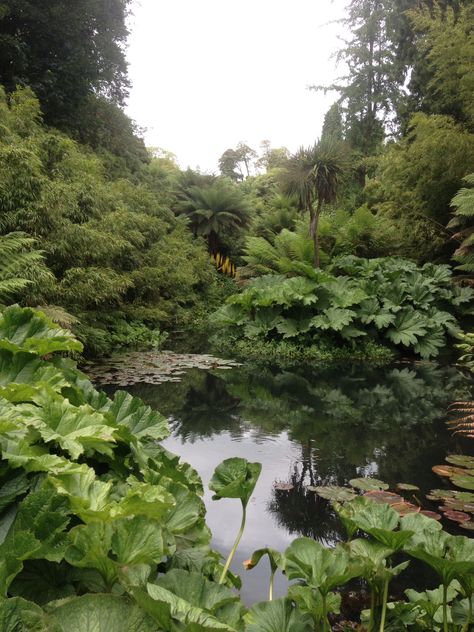 The Lost Gardens of Heligan Beautiful Ponds, Dragonfly Pond, Land Scaping, Country England, Lost Gardens Of Heligan, Enchanted Gardens, English Garden Design, Lost Garden, Garden Water Feature