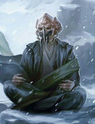 Plo Koon Meditation Plo Koon Art, Kel Dor Star Wars, Kel Dor Jedi, Jedi Meditation, Plo Koon, Jedi Art, Mara Jade, Star Wars Species, Star Wars Characters Pictures