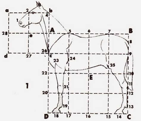 Horse Proportions To Draw, Drawing Horse Tutorial, Horse Legs Drawing, Rearing Horse Drawing, Horse Proportions, How To Draw A Horse, Horse Drawing Tutorial, Draw Horse, Ahal Teke