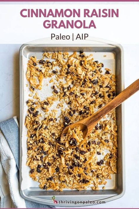 Cinnamon Raisin Granola (Paleo, AIP) Aip Granola, Cinnamon Raisin Granola Recipe, Cinnamon Raisin Granola, Raisin Granola, Autoimmune Protocol Diet Recipes, Aip Diet Recipes, Nut Free Granola, Aip Snack, Primal Living