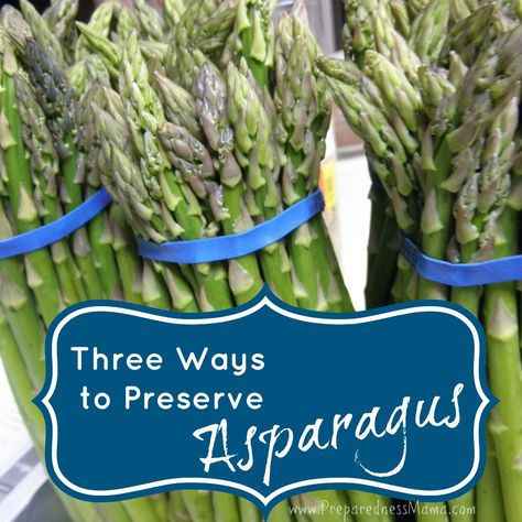 3 ways to preserve asparagus Dehydrate Vegetables, Canning Asparagus, Bee Yard, Creamy Asparagus, Preserving Foods, Dehydrated Vegetables, Canning Tips, Dry Fruit, Fresh Asparagus