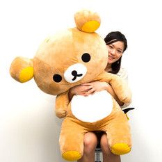 Holding Plushie Reference, Rilakkuma Plushie, Plushies Diy, Ted Bear, Rilakkuma Plush, Big Plush, Teddy Bear Pictures, Otaku Mode, Bedroom Crafts