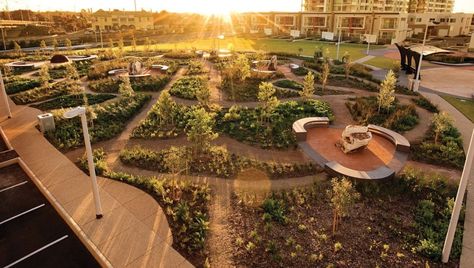 Lartelare Aboriginal Heritage Park | TCL Architecture Courtyard, Australia Landscape, Copper House, Award Design, Urban Village, Monash University, Backyard Balcony, Australian Garden, Architecture Awards